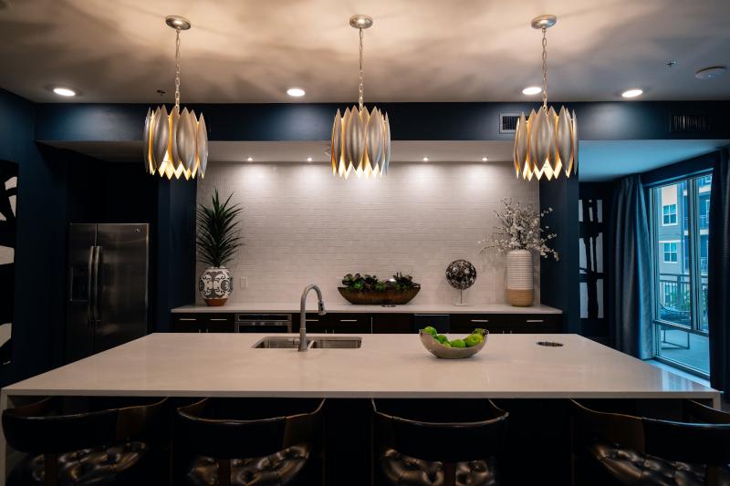 Modern luxury black and white kitchen