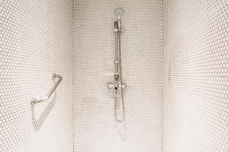 shower and handle